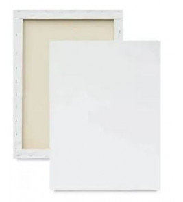 Tela para pintura 20x30cm branco Souza