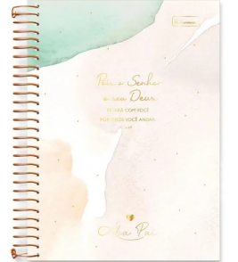 Caderno espiral capa dura 15 matérias 240 folhas aba pai colegial Cadersil