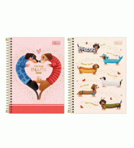 Caderno espiral capa dura 16 matérias 256 folhas brownie universitário Tilibra