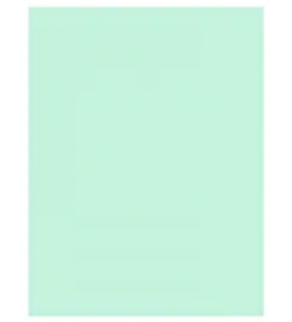Cartolina verde 50x66cm Diversos