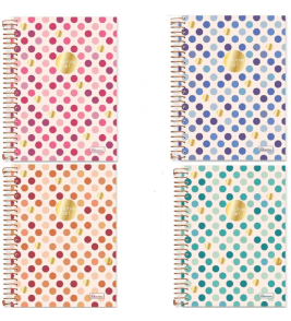 Caderno espiral capa dura 10 matérias 160 folhas double art colegial Cadersil