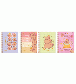 Caderno espiral capa dura 20 matéria 320 folhas pampy Cadersil