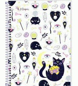 Caderno espiral capa dura 20 matérias 300 folhas magias universitário 3B