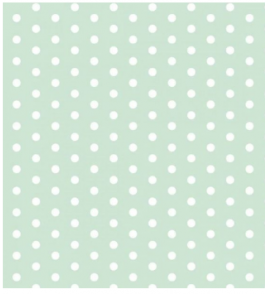 E.v.a 48x40cm estampado verde/poa branco Diversos